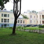 Усадьба Чапских: дворец (Прилуки), июль 2012