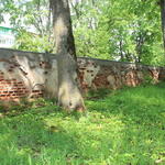 Усадьба Чапских: ограда (Станьково), май 2013